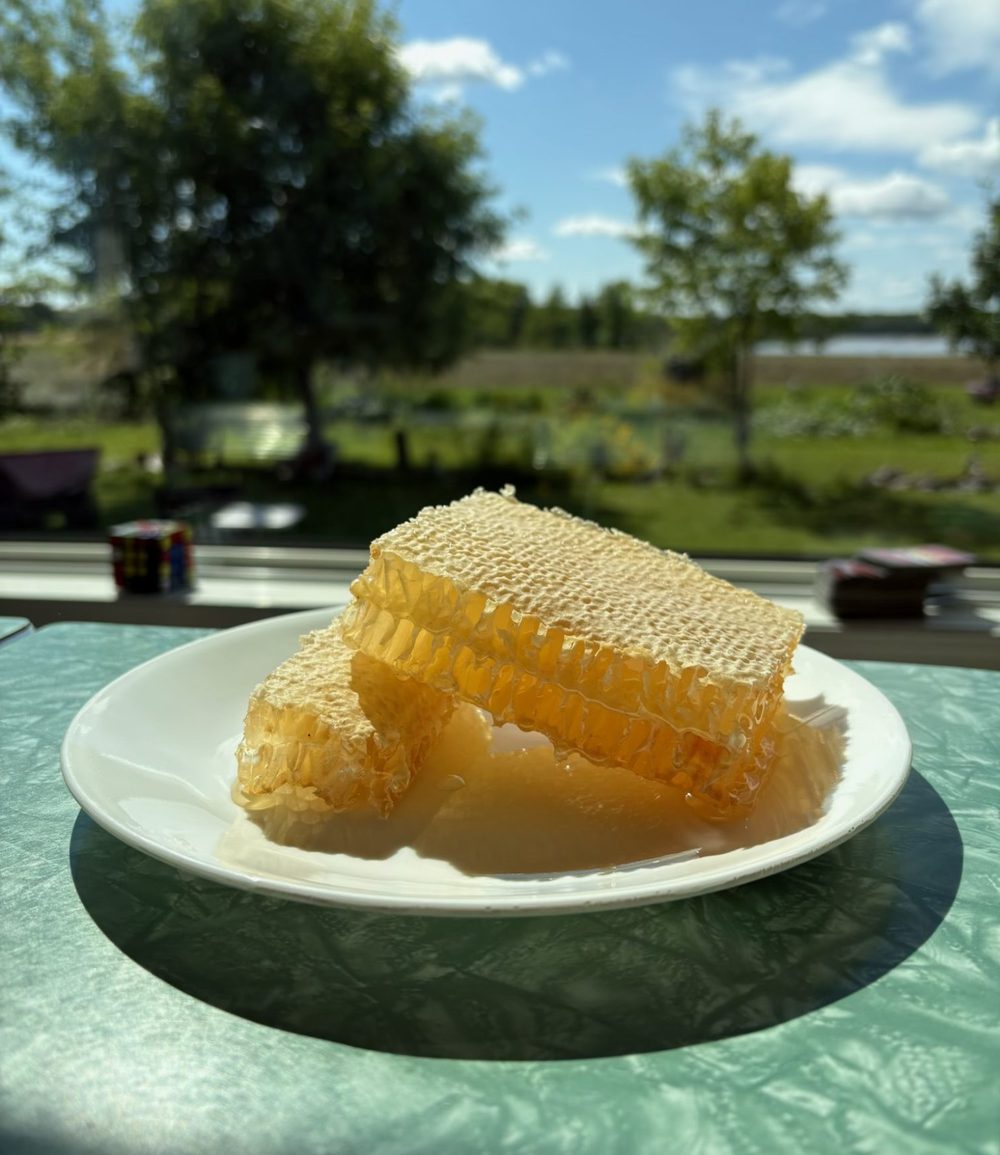 Two pieces of cut comb honey on a white plate, with trees and water behind.
